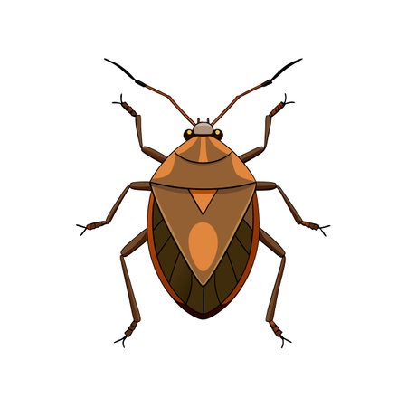 Realistic Colorful Brown Marmorated Stink Bug Illustrationのイラスト素材