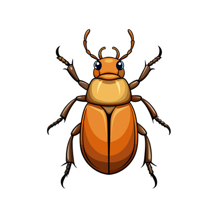 Realistic Colorful Chafer Animal Illustrationのイラスト素材