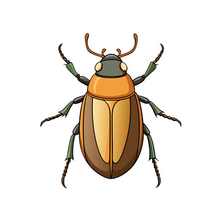 Stunning Carrion Beetle Illustration with Rich Detailingのイラスト素材