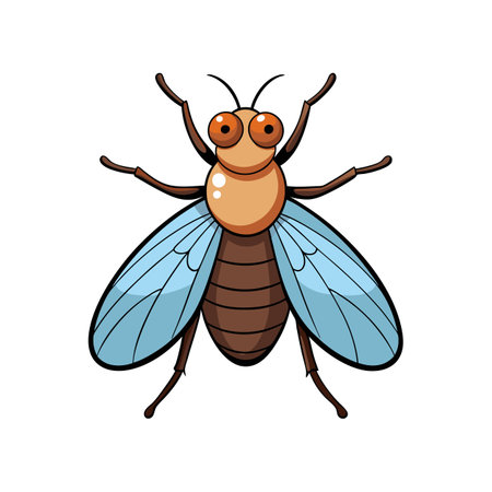 Detailed Illustration of Cluster Fly in Colorのイラスト素材