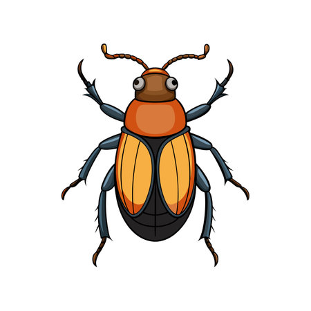 Colorful Realistic Illustration of Dermestid Beetleのイラスト素材