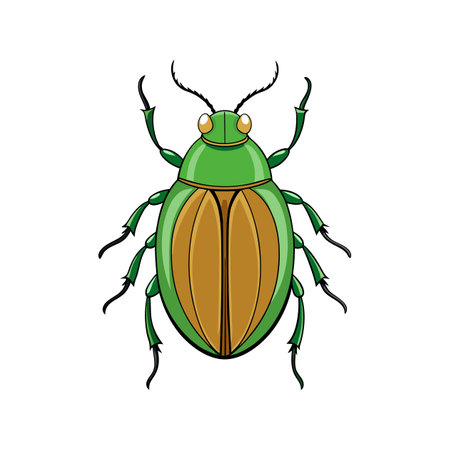 Realistic Color Illustration of Leaf Beetleのイラスト素材