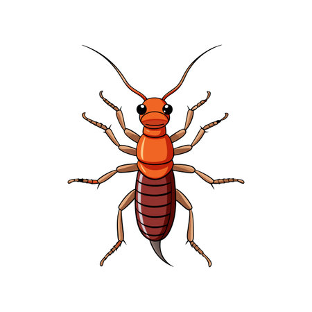 Stunning Earwig Artwork Capturing Its Natural Featuresのイラスト素材