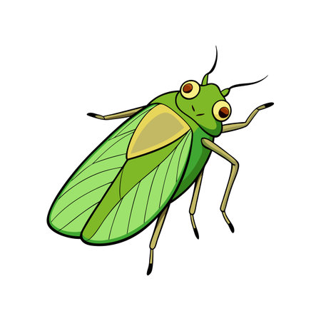 Realistic Color Illustration of Leafhopperのイラスト素材