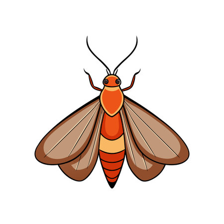 Unique Indian Meal Moth Realistic Illustrationのイラスト素材