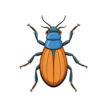 Colorful Realistic Illustration of Flea Beetleのイラスト素材