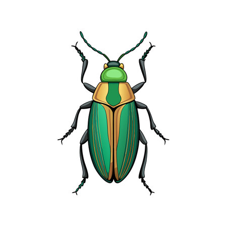 Unique Jewel Beetle Realistic Illustrationのイラスト素材
