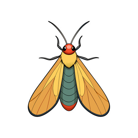 Detailed Color Illustration of Lichen Mothのイラスト素材