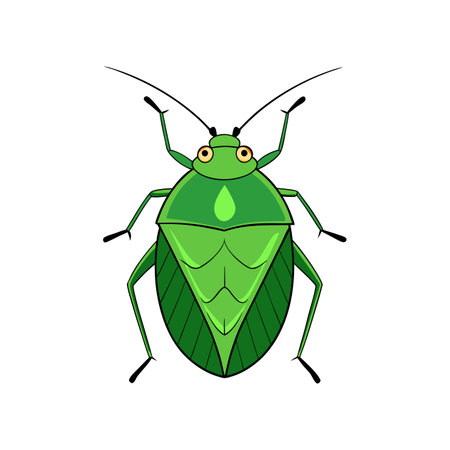 Realistic Green Stink Bug Illustration Highlighting Its Featuresのイラスト素材