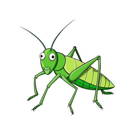 Vivid Katydid Animal Detailed Artworkのイラスト素材