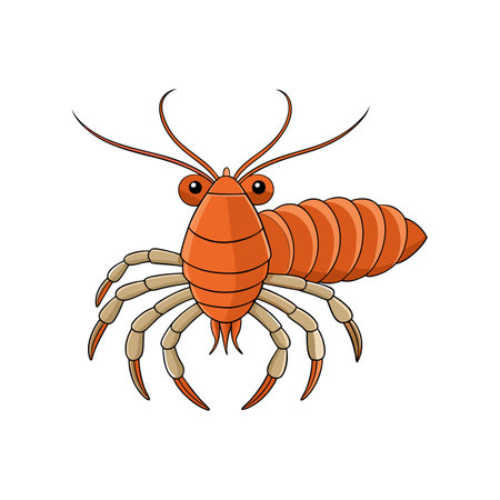 Stunning Colorful Branchiopoda Crustacean Artworkのイラスト素材