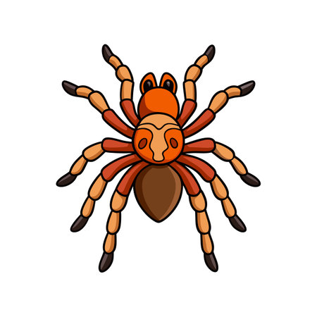 Unique Clavopelma Arachnid Realistic Illustrationのイラスト素材