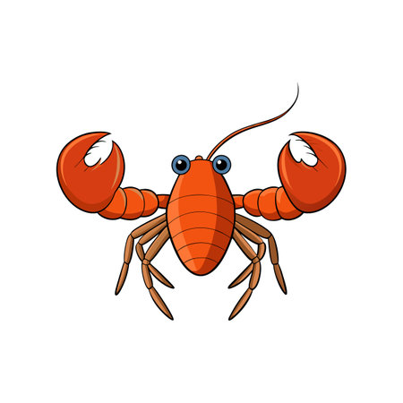 Realistic Color Illustration of Corystesのイラスト素材