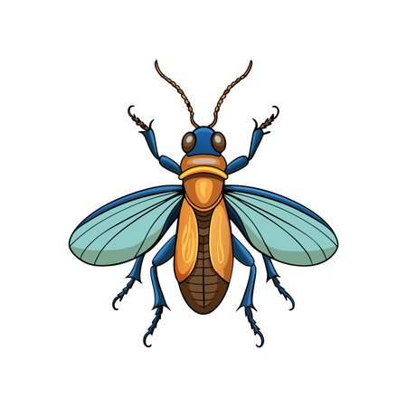 Detailed Color Illustration of Featherwing Beetleのイラスト素材