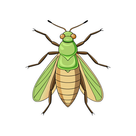 Unique Psyllid Animal Realistic Illustrationのイラスト素材