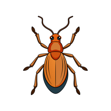 Unique Rice Weevil Animal Realistic Illustrationのイラスト素材