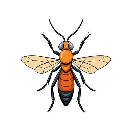 Realistic Sawfly Colorful Illustrationのイラスト素材