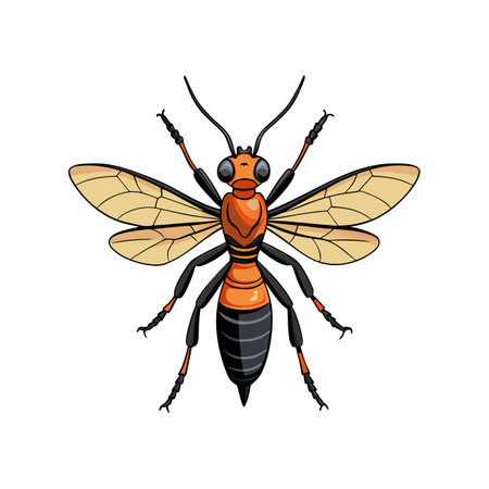 Detailed Color Illustration of Spider Waspのイラスト素材