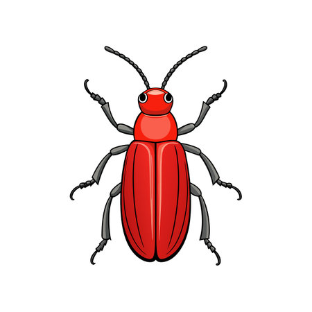 Unique Red Flour Beetle Animal Realistic Illustrationのイラスト素材