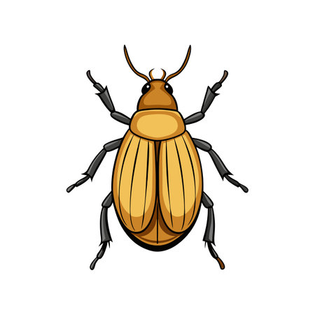 Realistic Sugarcane Beetle Illustration Highlighting Natural Featuresのイラスト素材