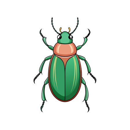 Stunning Colorful Rose Chafer Artworkのイラスト素材