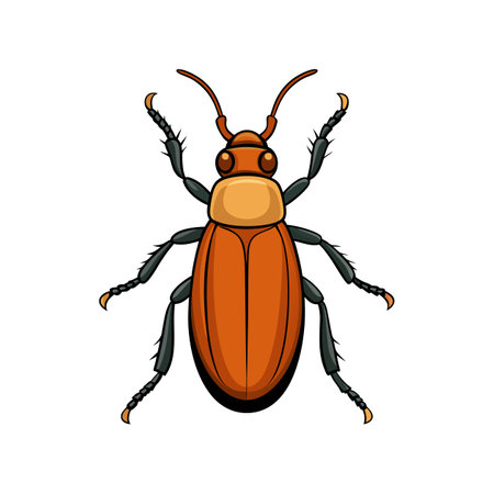 Realistic Color Illustration of Southern Pine Beetleのイラスト素材