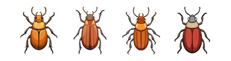Realistic Colorful Chafer Animal Illustrationのイラスト素材