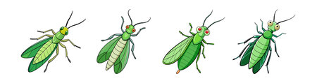 Realistic Green Lacewing Illustration Capturing Nature's Essenceのイラスト素材