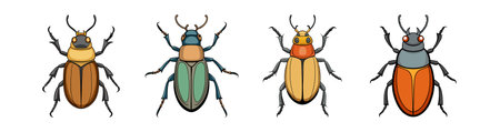 Realistic Ironclad Beetle Colorful Illustrationのイラスト素材