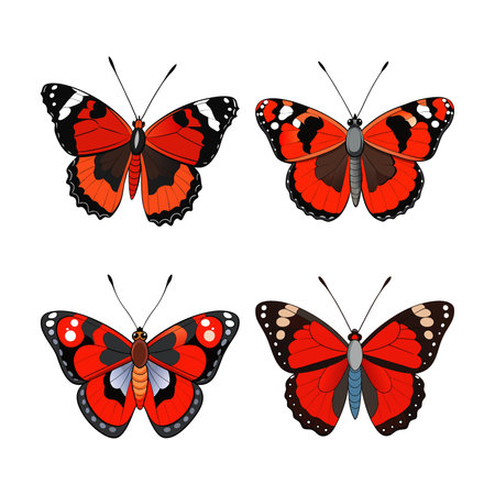 Realistic Red Admiral Butterfly Colorful Illustrationのイラスト素材