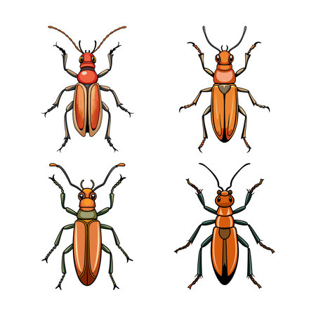 Realistic Color Illustration of Longhorn Beetleのイラスト素材