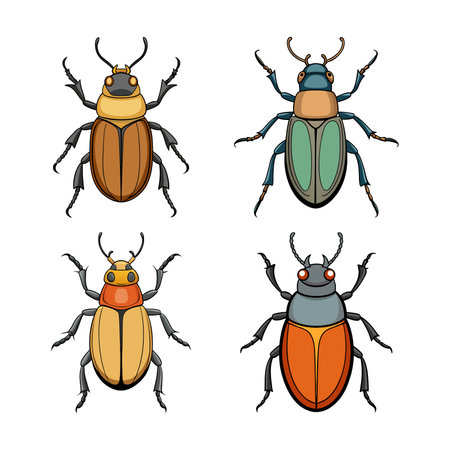 Realistic Ironclad Beetle Colorful Illustrationのイラスト素材