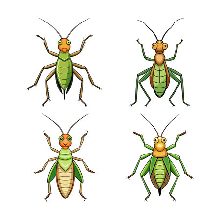 Realistic Tree Cricket Artwork Highlighting Its Featuresのイラスト素材