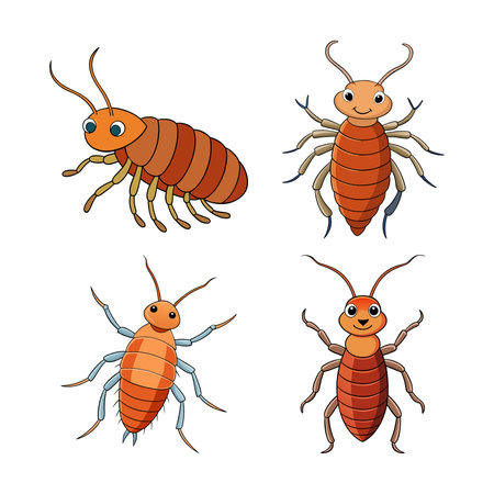 Realistic Color Illustration of Springtailのイラスト素材