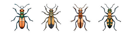 Realistic Tiger Beetle Artwork Highlighting Its Featuresのイラスト素材