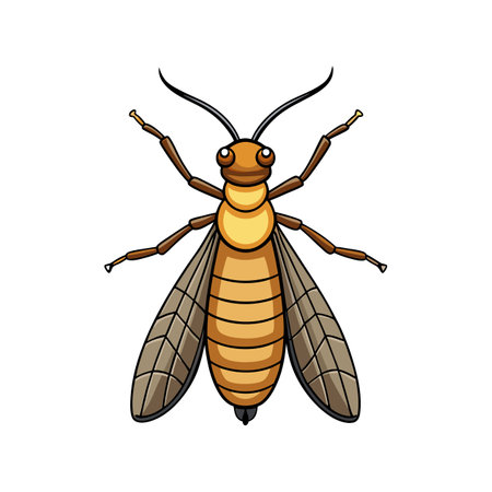 Stunning Stonefly Artwork Capturing Nature's Detailのイラスト素材