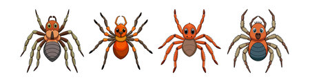 Realistic Eupoa Arachnid Colorful Illustrationのイラスト素材