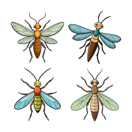 Realistic Color Illustration of Mayflyのイラスト素材