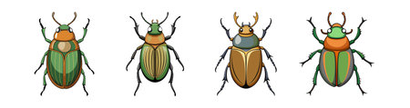 Realistic Japanese Beetle Colorful Illustrationのイラスト素材