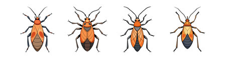 Realistic Color Illustration of Large Milkweed Bugのイラスト素材