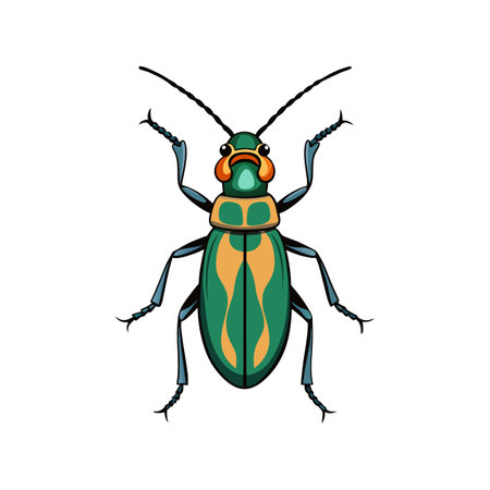 Vivid Artwork of Six-Spotted Tiger Beetleのイラスト素材