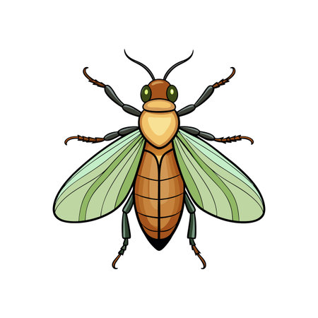 Charming Illustration of Realistic Net-Winged Beetleのイラスト素材