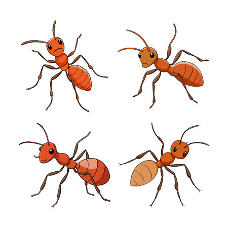 Realistic Harvester Ant Illustration Highlighting Natural Detailのイラスト素材