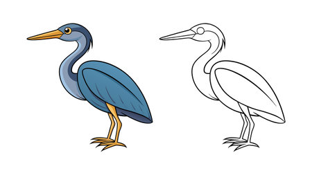 Colorful Representation of Agami Heron Birdのイラスト素材