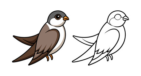 Beautiful Alpine Swift Bird Representationのイラスト素材
