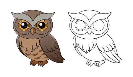 Realistic Australian Owlet Nightjar Artworkのイラスト素材