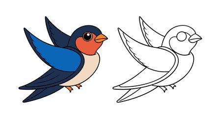 Stunning Barn Swallow Designのイラスト素材