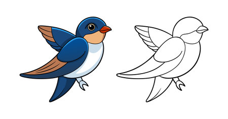 Detailed Bank Swallow Depictionのイラスト素材