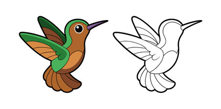 Vivid Buff-Bellied Hummingbird Bird Illustrationのイラスト素材