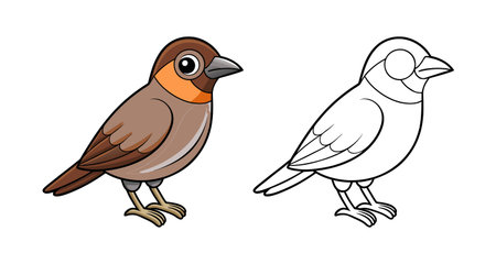 Elegant Buff-Throated Saltator Bird Artworkのイラスト素材